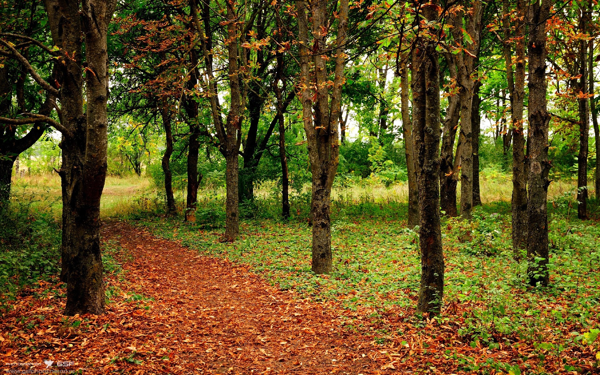 小贾伦的攻防交响曲,爵士与雷霆之战中的唯一核心